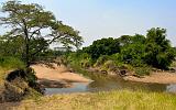 TANZANIA - Serengeti National Park - Grumeti River - 08